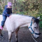 Reittherapie für Wen?